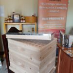 Modern Beehive